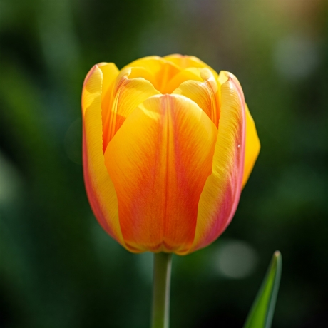 Top 10 Holistic Practices to Enhance Your Well-being